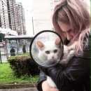 Подробнее об объявлении «Санкт-Петербург Найден кот пр.просвещения. белый пушистый кот» Фото: найдена кошка  «Санкт-Петербург Найден кот пр.просвещения....» в г. Санкт-Петербург