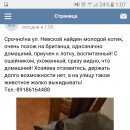 Подробнее об объявлении «Найден кот Сочи» Фото: найдена кошка  «Найден кот Сочи» в г. Сочи