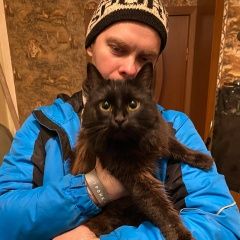 Подробнее об объявлении «Москва Найдена кошка» Фото: найдена кошка  «Москва Найдена кошка» в г. Москва