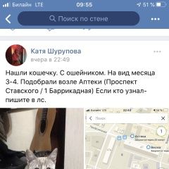 Подробнее об объявлении «Найдена кошка Ростов-на-Дону» Фото: найдена кошка  «Найдена кошка Ростов-на-Дону» в г. Ростов-на-Дону