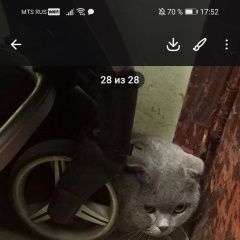 ����: ������� ����� ���������� ��������������� ����� ���������� ������� ����� � �. ���������