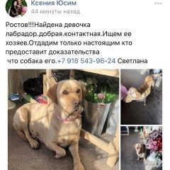Подробнее об объявлении «Найдена кошка Ростов-на-Дону» Фото: найдена кошка Лабрадор ретривер «Найдена кошка Ростов-на-Дону» в г. Ростов-на-Дону