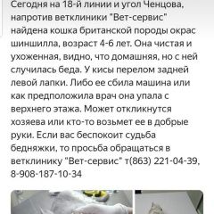 Подробнее об объявлении «Найдена кошка Ростов-на-Дону» Фото: найдена кошка Британская короткошерстная «Найдена кошка Ростов-на-Дону» в г. Ростов-на-Дону