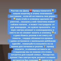 Подробнее об объявлении «Найдена кошка Ростов-на-Дону» Фото: найдена кошка  «Найдена кошка Ростов-на-Дону» в г. Ростов-на-Дону