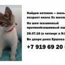 Подробнее об объявлении «Казань Найден котёнок» Фото: найдена кошка  «Казань Найден котёнок» в г. Казань