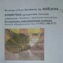 Подробнее об объявлении «Найдена кошка Санкт-Петербург» Фото: найдена кошка  «Найдена кошка Санкт-Петербург» в г. Санкт-Петербург