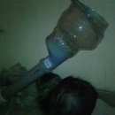 Подробнее об объявлении «Новосибирск Найдена кошка кот или кошка» Фото: найдена кошка  «Новосибирск Найдена кошка кот или кошка» в г. Новосибирск