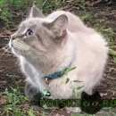 Подробнее об объявлении «Москва Найдена кошка» Фото: найдена кошка  «Москва Найдена кошка» в г. Москва