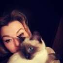 Подробнее об объявлении «Екатеринбург Найдена кошка сиамский (тайский) котенок» Фото: найдена кошка Тайская «Екатеринбург Найдена кошка сиамский (тайский)...» в г. Екатеринбург