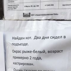 Подробнее об объявлении «Екатеринбург Найден кот уличный кот боб» Фото: найдена кошка  «Екатеринбург Найден кот уличный кот боб» в г. Екатеринбург