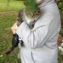 Подробнее об объявлении «Москва Найдена кошка» Фото: найдена кошка Сибирская «Москва Найдена кошка» в г. Москва