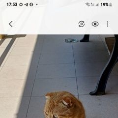 ����: ������� �����  ������� ��� ����� � �. �����