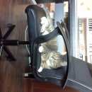 Подробнее об объявлении «Москва Найден кот на ул б.дорогомиловская» Фото: найдена кошка  «Москва Найден кот на ул б.дорогомиловская» в г. Москва