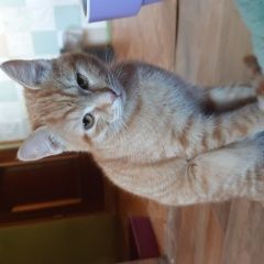 ����: ������� �����  ������ ������ ��� � �������� � �. �����