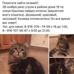 Подробнее об объявлении «Одинцово Найдена кошка в районе дома по ул. м.крылова» Фото: найдена кошка  «Одинцово Найдена кошка в районе дома по ул....» в г. Одинцово