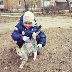 Подробнее об объявлении «Тольятти Найдена кошка никто не терял?» Фото: найдена кошка  «Тольятти Найдена кошка никто не терял?» в г. Тольятти