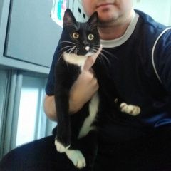 Подробнее об объявлении «Москва Найден кот кантемировская, царицыно» Фото: найдена кошка  «Москва Найден кот кантемировская, царицыно» в г. Москва