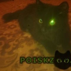 Подробнее об объявлении «Мытищи Найден кот» Фото: найдена кошка  «Мытищи Найден кот» в г. Мытищи