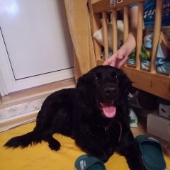 ����: ������� ������  ������� ������� ������ � �� ������� ������ ��...� � �. ������