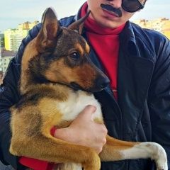 Подробнее об объявлении «Краснодар Найдена собака отдам собаку» Фото: найдена собака  «Краснодар Найдена собака отдам собаку» в г. Краснодар