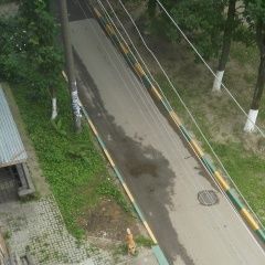 Подробнее об объявлении «Найдена собака кобель лайка рыжий кобель Нижний Новгород» Фото: найдена собака Западно-сибирская лайка «Найдена собака кобель лайка рыжий кобель Нижний...» в г. Нижний Новгород