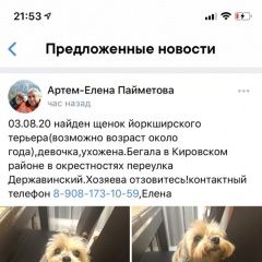 Подробнее об объявлении «Найдена собака Ростов-на-Дону» Фото: найдена собака Йоркширский терьер «Найдена собака Ростов-на-Дону» в г. Ростов-на-Дону