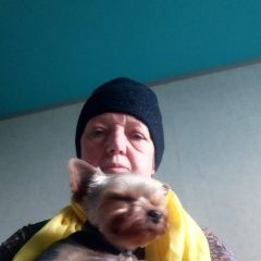 Подробнее об объявлении «Найдена собака кобель Немчиновка» Фото: найдена собака  «Найдена собака кобель Немчиновка» в г. Немчиновка