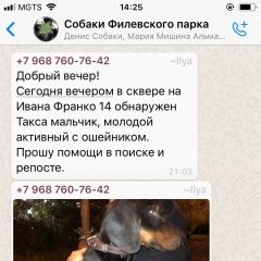 Подробнее об объявлении «Найдена собака кобель пёс Москва» Фото: найдена собака Такса «Найдена собака кобель пёс Москва» в г. Москва