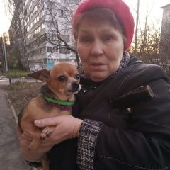 Подробнее об объявлении «Найдена собака Санкт-Петербург» Фото: найдена собака  «Найдена собака Санкт-Петербург» в г. Санкт-Петербург