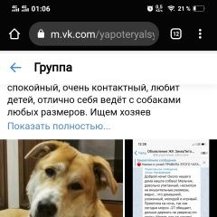 Подробнее об объявлении «Найдена собака кобель Санкт-Петербург» Фото: найдена собака  «Найдена собака кобель Санкт-Петербург» в г. Санкт-Петербург