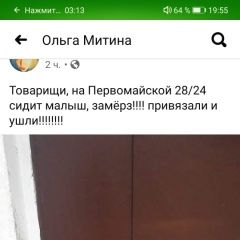 Подробнее об объявлении «Найдена собака девочка Москва» Фото: найдена собака  «Найдена собака девочка Москва» в г. Москва