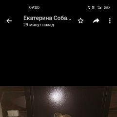 Подробнее об объявлении «Найдена собака. Одинцово» Фото: найдена собака  «Найдена собака. Одинцово» в г. Одинцово