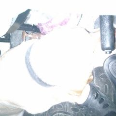 Подробнее об объявлении «Липецк Найдена собака наверное лабрадор» Фото: найдена собака Лабрадор ретривер «Липецк Найдена собака наверное лабрадор» в г. Липецк