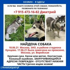 Подробнее об объявлении «Найдена собака хаски Москва» Фото: найдена собака  «Найдена собака хаски Москва» в г. Москва