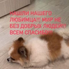 Подробнее об объявлении «Пенза Найдена собака кобель» Фото: найдена собака  «Пенза Найдена собака кобель» в г. Пенза
