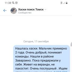 Подробнее об объявлении «Найдена собака кобель ищем хозяина Томск» Фото: найдена собака  «Найдена собака кобель ищем хозяина Томск» в г. Томск