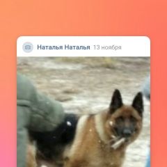 Подробнее об объявлении «Пенза Найдена собака, контактная, ладит с детьми» Фото: найдена собака Немецкая овчарка «Пенза Найдена собака, контактная, ладит с детьми» в г. Пенза