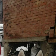 Подробнее об объявлении «Найдена собака кобель Чебоксары» Фото: найдена собака Сибирская хаски «Найдена собака кобель Чебоксары» в г. Чебоксары