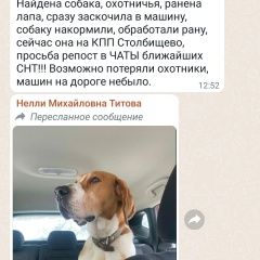 Подробнее об объявлении «Найдена собака. Москва» Фото: найдена собака  «Найдена собака. Москва» в г. Москва