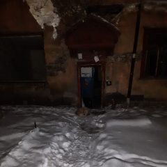 Подробнее об объявлении «Екатеринбург Найдена собака ждёт хозяина возле рассклеёного б» Фото: найдена собака  «Екатеринбург Найдена собака ждёт хозяина возле...» в г. Екатеринбург