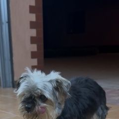 ����: ������� ������  �������� ������ ������ ������� ����/����� ������� � �. ������