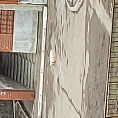 Подробнее об объявлении «Найдена собака кобель Уфа» Фото: найдена собака  «Найдена собака кобель Уфа» в г. Уфа
