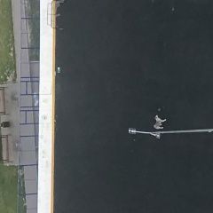 Подробнее об объявлении «Найдена собака хаски Видное» Фото: найдена собака Сибирская хаски «Найдена собака хаски Видное» в г. Видное