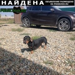 Подробнее об объявлении «Майкоп (Адыгея) Найдена собака кобель такса» Фото: найдена собака Такса «Майкоп (Адыгея) Найдена собака кобель такса» в г. Майкоп (Адыгея)