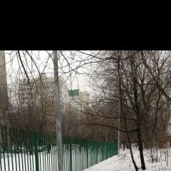 Подробнее об объявлении «Найдена собака Москва» Фото: найдена собака  «Найдена собака Москва» в г. Москва