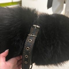 Подробнее об объявлении «Найдена собака кобель Москва» Фото: найдена собака  «Найдена собака кобель Москва» в г. Москва