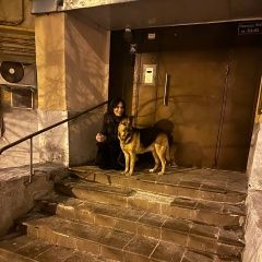 Подробнее об объявлении «Найдена собака замечена собака в районе китай-города Москва» Фото: найдена собака  «Найдена собака замечена собака в районе...» в г. Москва