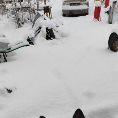 Подробнее об объявлении «Красноярск Найдена собака кобель» Фото: найдена собака  «Красноярск Найдена собака кобель» в г. Красноярск