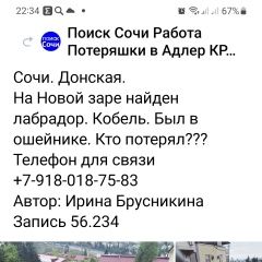 Подробнее об объявлении «Найдена собака кобель в районе волковки лабрадор Сочи» Фото: найдена собака Лабрадор ретривер «Найдена собака кобель в районе волковки...» в г. Сочи