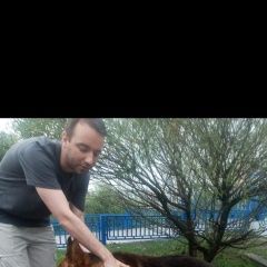 Подробнее об объявлении «Мытищи Найдена собака кобель овчарки» Фото: найдена собака Немецкая овчарка «Мытищи Найдена собака кобель овчарки» в г. Мытищи